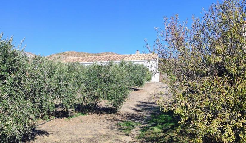 MACAEL ( ALMERÍA ). VENTA DE CASA DE CAMPO DE UNA PLANTA CON TERRENO. photo 0