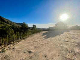 ¡Escápate a la tranquilidad del campo en esta encantadora parcela rústica en Petrer, zona Ginebre! photo 0