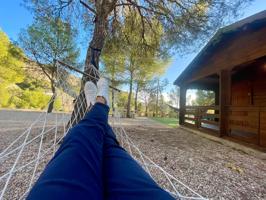 ¡Escápate a la tranquilidad del campo en esta encantadora finca rústica en Petrer, zona Ginebre! photo 0