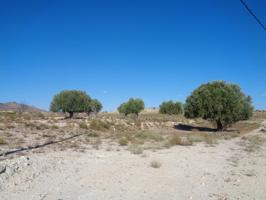 TERRENO EN EL FENAZAR photo 0