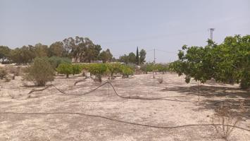 VENTA DE PARCELA EN MOLINA DE SEGURA photo 0