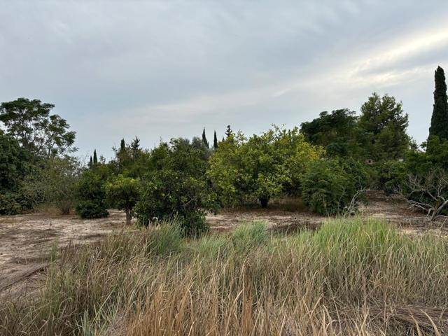TERRENO CON AGUA Y RIEGO photo 0