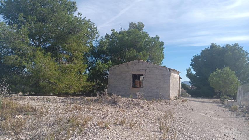 SE VENDE TERRENO CON CASA DE APERO EN EL TOMILLAR photo 0