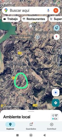 TERRENO DE CULTIVO EN PLIEGO photo 0