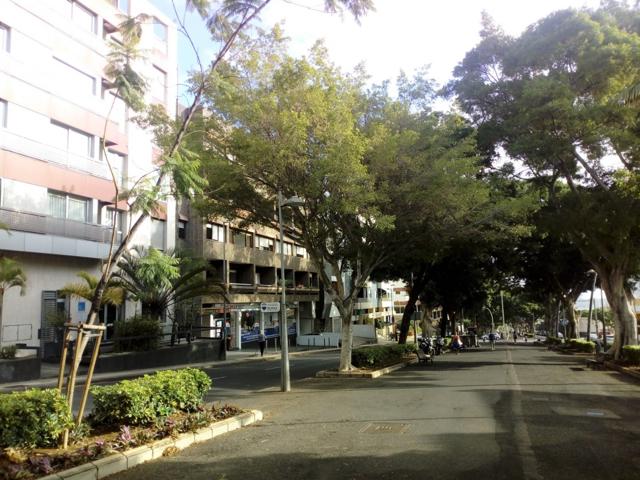 Oficina En alquiler en Zona Rambla, Santa Cruz De Tenerife photo 0