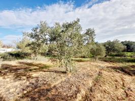 Terreno Urbanizable En venta en Pedanias, Jerez De La Frontera photo 0