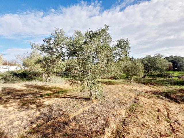 Terreno Urbanizable En venta en Pedanias, Jerez De La Frontera photo 0