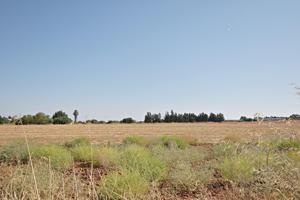 Terreno urbano proindiviso de 800 m² en MONTEALEGRE ALTO – En proyecto de parcelación y acerado photo 0