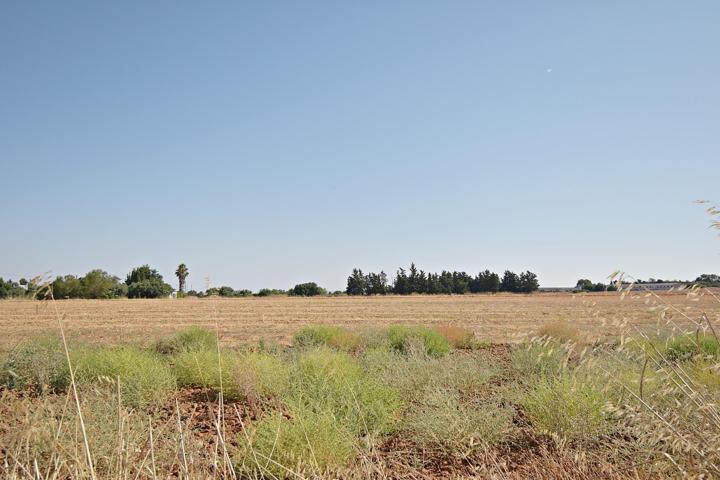 Terreno urbano proindiviso de 800 m² en MONTEALEGRE ALTO – En proyecto de parcelación y acerado photo 0