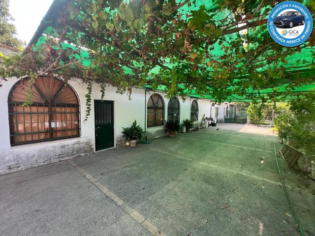 MAGNÍFICA PARCELA EN PINOSOLETE photo 0