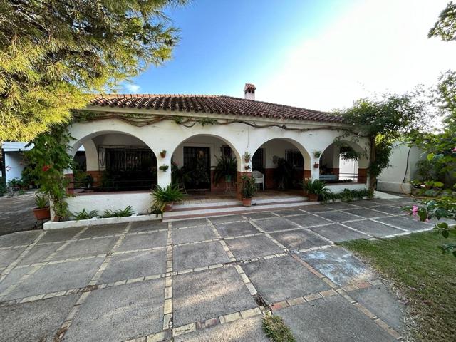 FINCA RÚSTICA-AGRICOLA 3 HECTAREAS photo 0