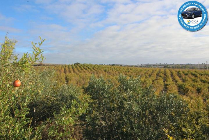 Impresionante Finca Rural de 14 Hectáreas con Explotación Agrícola y Nave Industrial photo 0