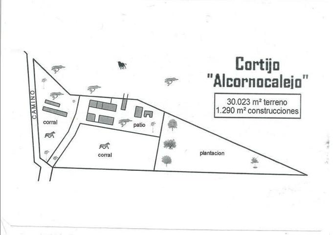CORTIJO EN SAN JOSÉ DEL VALLE photo 0