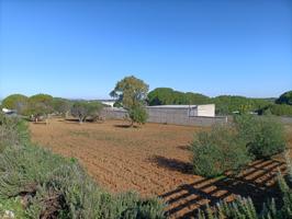 FINCA CON DOS VIVIENDAS INDEPENDIENTES photo 0