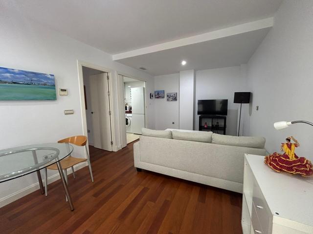 COQUETO APARTAMENTO DE UN DORMITORIO ZONA ALAMEDA APODACA photo 0