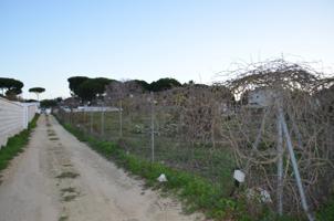 No pierda la oportunidad de comprar un terreno en el Pinar de los Franceses photo 0