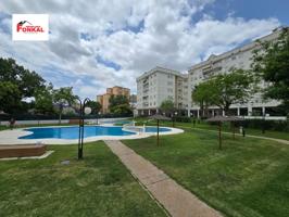 SE VENDE VIVIENDA EN ZONA ALTILLO photo 0