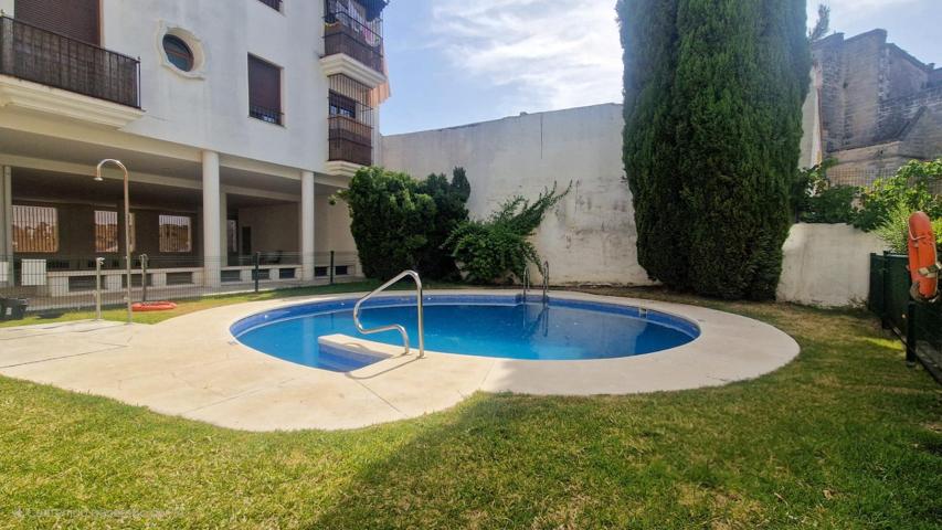 IDEAL PISO CON GARAJE Y PISCINA EN EL CENTRO DE JEREZ photo 0