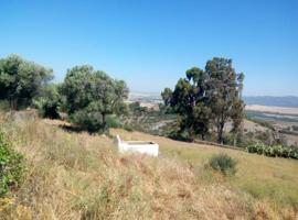 Se vende finca con cortijo photo 0