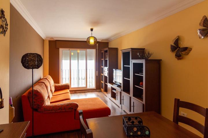 PISO AMUEBLADO CON GARAJE EN EL CENTRO DE TEJINA photo 0