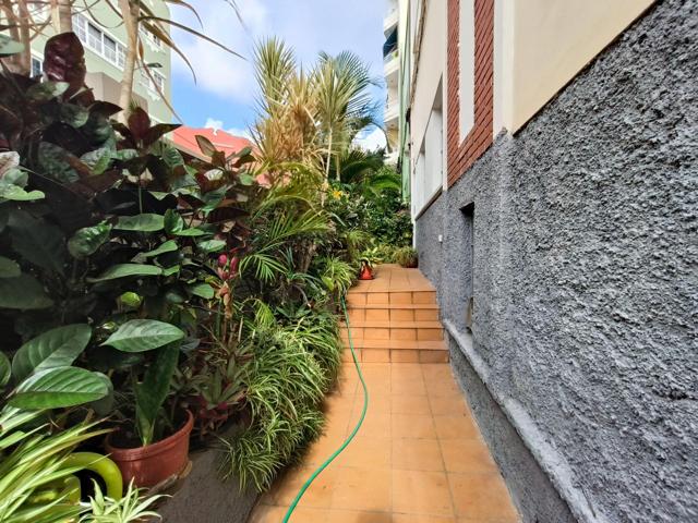🏡 Encantadora vivienda en esquina con jardín, local independiente y azotea habitable en Santa Cruz de Tenerife photo 0