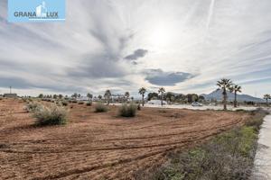 MARAVILLOSA PARCELA DE 1000 M² EN URBANIZACIÓN LA NATIVA CON POSIBILIDAD DE PROYECTO DE OBRA. photo 0