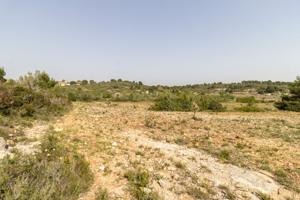 PARCELA ECONÓMICA EN MONSERRAT, EN LA URBANIZACIÓN COLINAS VENTA CABRERA. photo 0