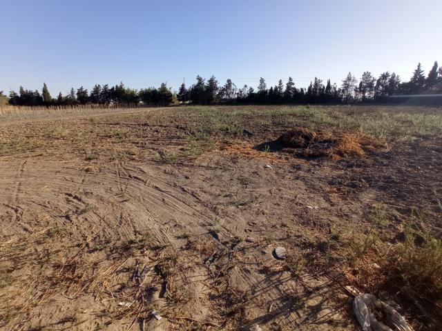 PARCELA RUSTICA DE 2.500 M2 EN VENTA EN CHIPIONA photo 0