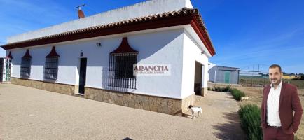 Chalet de 200m y dos naves en parcela de 6700 photo 0