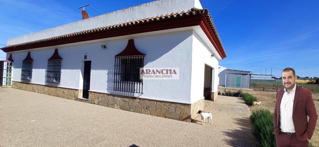 Chalet de 200m y dos naves en parcela de 6700 photo 0