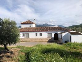 FINCA PANORÁMICA EN LA SIERRA DE CÁDIZ: NATURALEZA, ESPACIO Y LICENCIA TURÍSTICA photo 0