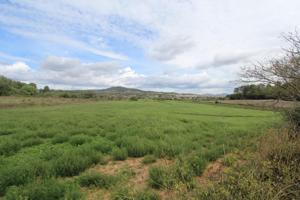 Terreno en Sant joan photo 0