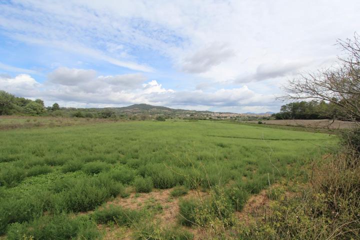 Terreno en Sant joan photo 0