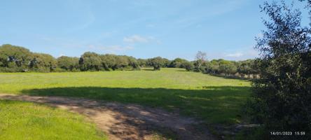 Terreno junto a campo de golf de Monteenmedio photo 0