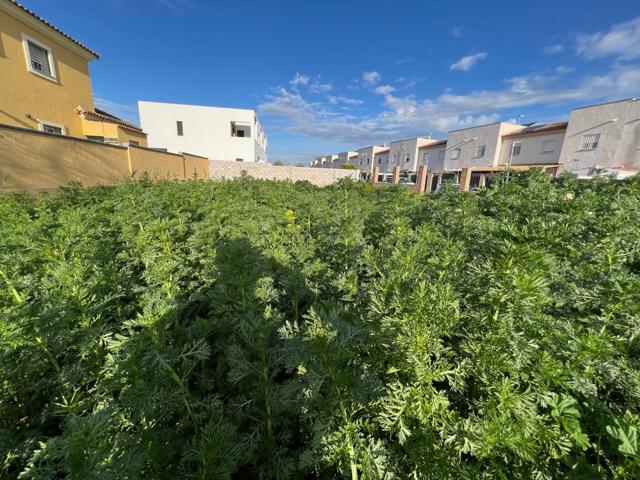 Parcela urbana junto a la Laguna de Torrox photo 0