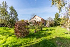 CHALET INDEPENDIENTE UGENA photo 0