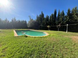 FINCA DE 2600 METROS CON TRES VIVIENDAS TRASTERO Y PISCINA URBANO LEGAL photo 0