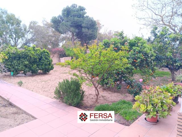 FERSA INMOBILIARIA VENDE EN EXCLUSIVA CASA CON GRAN PARCELA Y ARBOLES FRUTALES photo 0