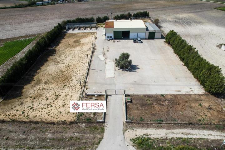 ALQUILER FINCA DE 9000 M2 CON NAVE DE 900 M2 photo 0