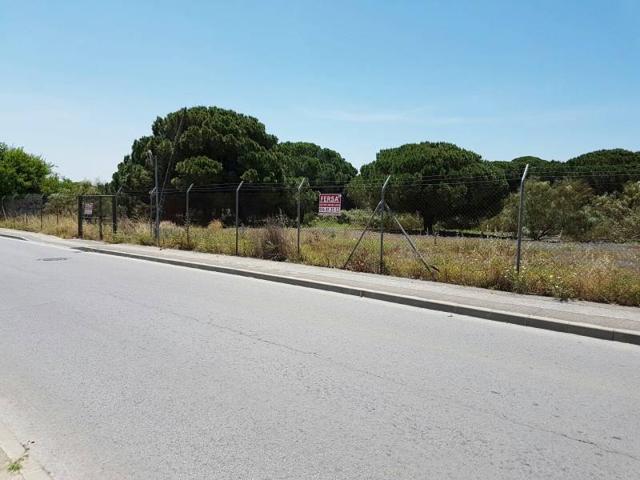 SUELO URBANIZABLE EN LA HIJUELA DEL TIO PRIETO photo 0