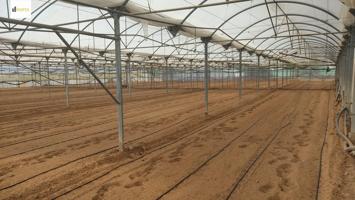 FINCA CON INVERNADERO photo 0