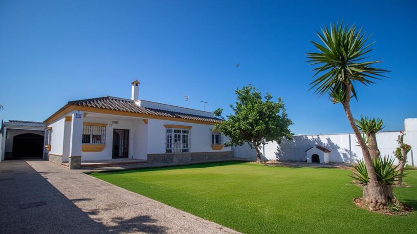 ESPACIO, ESPACIO. Y MÁS ESPACIO. photo 0