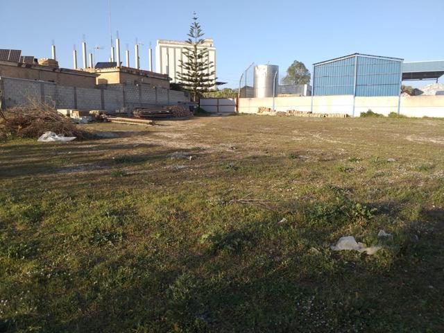 TERRENO RUSTICO EN EL PUERTO DE SANTA MARIA photo 0