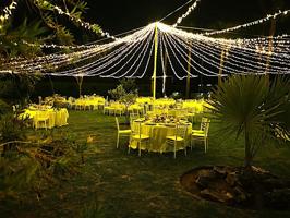 PRECIOSA FINCA DE 6008m2 EN LA BARCA DE LA FLORIDA photo 0