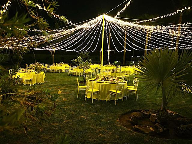 PRECIOSA FINCA DE 6008m2 EN LA BARCA DE LA FLORIDA photo 0