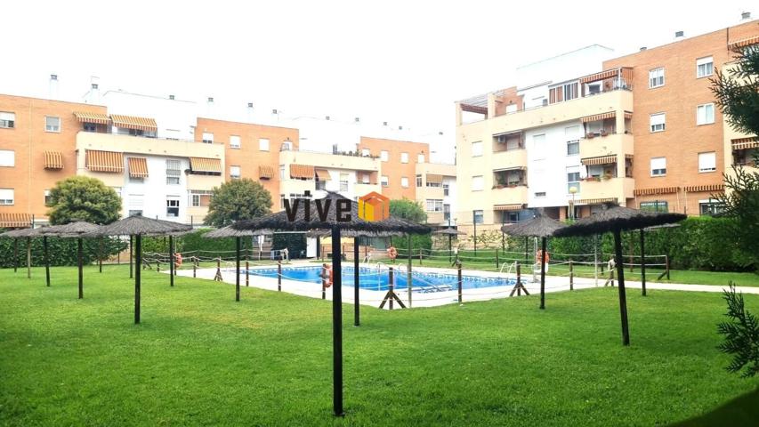 Vivienda VPO en urbanización Ciudad Almar con piscina photo 0