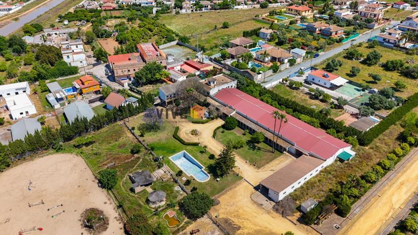 EXCEPCIONAL FINCA DE 22 HECTÁREAS CON MANDARINOS EN PLENA PRODUCCIÓN photo 0