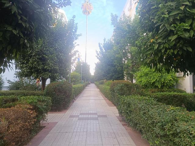 🏠Vivienda en alquiler – Barriada Nuestra Señora del Amparo photo 0