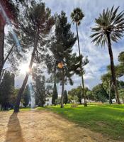 ¡ESPECTACULAR CASA EN TOMARES! photo 0