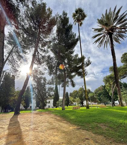 ¡ESPECTACULAR CASA EN TOMARES! photo 0